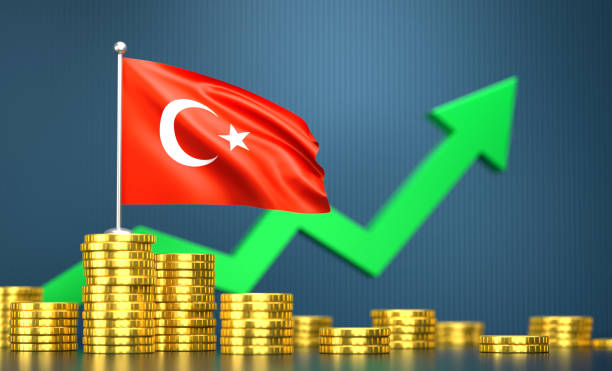 التضخم في تركيا يواصل التباطؤ للشهر الخامس عشر على التوالي